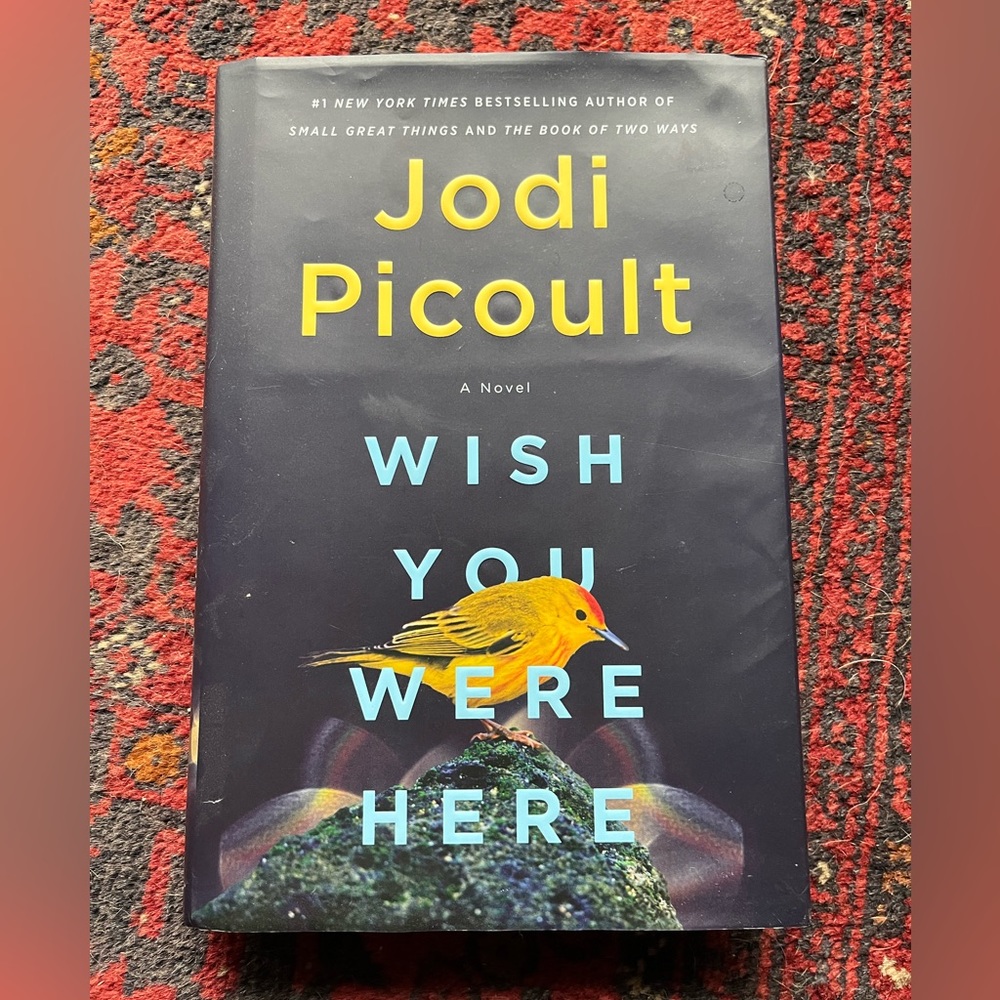 HARDCOVER BOOK OF FANTASTIC FICTION BY JODI PICOULT